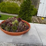 Im Neubauernweg 3 Apartamento *