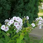 Im Neubauernweg 3 Apartamento *