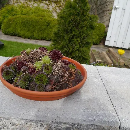 Im Neubauernweg 3 Appartement *