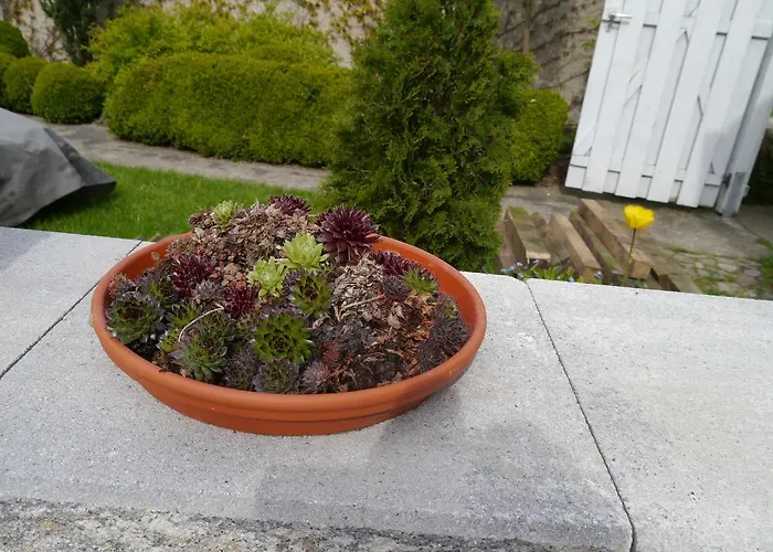 Im Neubauernweg 3 شقة *