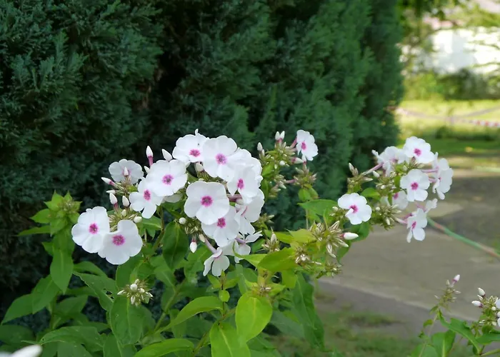 Im Neubauernweg 3 شقة *