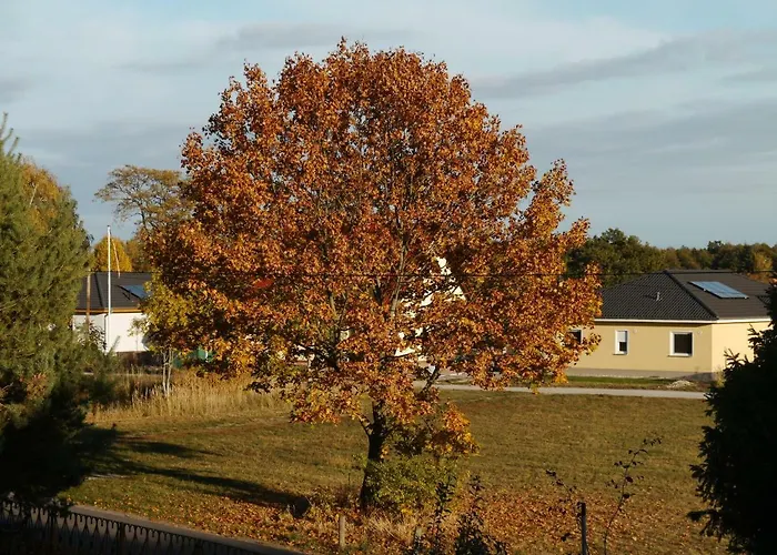 شقة Im Neubauernweg 3 هوبيغارْتْنْ