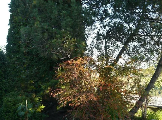 شقة Im Neubauernweg 3